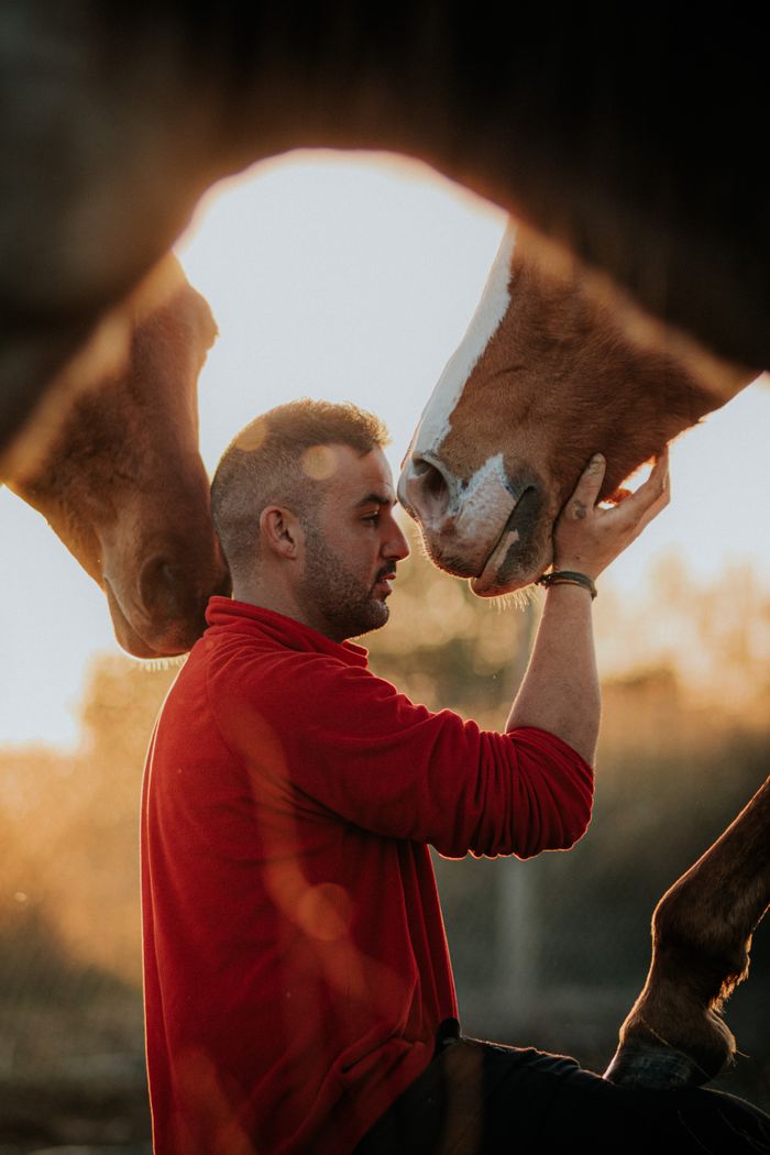 A man interacts closely with two horses at sunset, showcasing tenderness and connection.